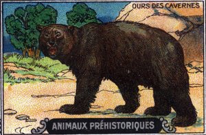 Animal pré-histórico: um urso das cavernas. de Unknown Artist