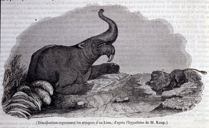 Pré-história: representação de um dinotério, tipo de pachiderm, repelindo o ataque de um leão. Gravura do século XIX de Unknown artist
