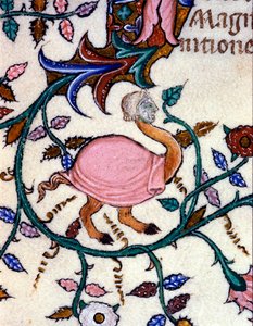 Representação de um monstro com um corpo de avestruz e uma cabeça humana. Miniatura de um manuscrito do século XIV. Milão, Biblioteca Nazionale Braidense. de Unknown artist