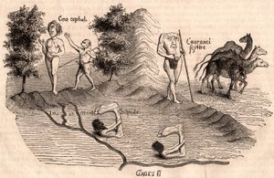 Representação de tribos medievais e espécies animais: Monóculos, Blemmys, Sciopodes e camelos de Unknown artist