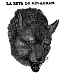 Representação do Bete du Gevaudan. de Unknown artist