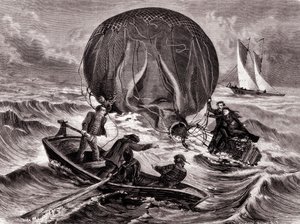 Resgate da bola Habs, montada pelo Sr. e Sra. Durouf. Naufragado na costa da Inglaterra no dia 1 de Setembro. de Unknown artist