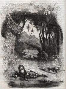 Ruggiero na ilha de Alcina, - 1851 gravura do poema Orlando furioso (1516) de Ludovico Ariosto, - Edição traduzida do italiano pelo Conde de Tressan e publicada por Gustave Harvard 1851 de Unknown artist
