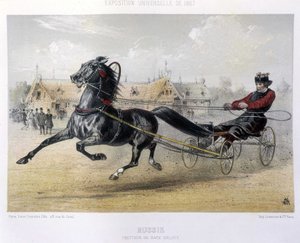 Rússia: Orloff trotter da raça - em "The Centaur" 1867 de Unknown artist