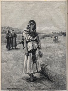 Ruth trabalhando no campo de Boaz (Booz) (Ruth e Boaz) - gravura a partir da pintura de Druch-hajos de Unknown artist
