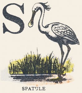 S: espátula de Unknown artist