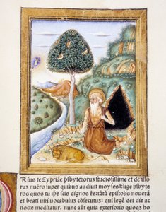 São Jerônimo - miniatura de Unknown artist