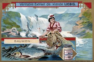 Pesca do salmão - cromo do século XIX. de Unknown artist