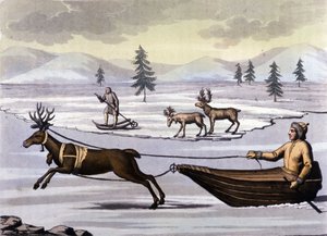 Povo Sami: os povos indígenas que vivem nas terras dos países do norte (Noruega, Finlândia, Suécia e Rússia) se movem de tobogã de renas ou de esquis. Gravura do século XIX de Unknown artist