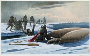 Caça à Vedação: "Seal hunting in the gulf" - in "Exploration of the Labrador Peninsula" por Hind, Londres de Unknown artist