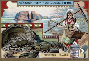 Camarão e lagosta, com uma jovem pescadora, carregando sua cesta e uma grande rede - Liebig chromolithography de Unknown artist