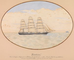 Navio Clipper de madeira 