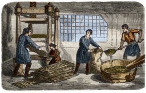 Fabricação de açúcar: extração de suco da polpa de beterraba. A polpa é recheada em sacos que são empilhados sob a bandeja de uma prensa hidráulica. Gravura de 1859. em "O Museu de Ciências". de Unknown artist