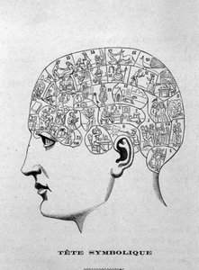 Cabeça simbólica. ilustração do livro de Charles Rouvin de 1873 La Tête humaine, estudos ilustrados de frenologia e fisionomonia aplicados a personagens famosos Paris 1873 de Unknown artist