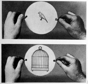 Thaumatrope: em 1825 John Ayrton Paris comercializou o seu disco mágico o taumatrope (roda milagrosa), de um lado é desenhada uma gaiola vazia, do outro uma ave, o disco é segurado por um cordel. Ao virá-lo, temos a ilusão de que o pássaro está na gaiola e de Unknown artist