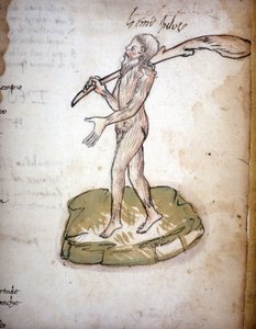 O Homem Cabeludo - do manuscrito "L