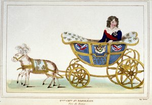 O Rei de Roma (Napoleão II) jovem rapaz, filho de Napoleão I. de Unknown artist