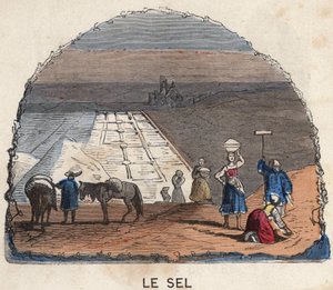 A colecção de sal. A ilustração do século XIX. Colecção Bianchetti. de Unknown artist
