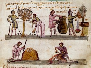 A colheita da azeitona, a produção de mel e o abate do cordeiro Miniatura da ordenha de caça "The Cynegetics" de Oppian (Oppian ou Oppianus) da Síria (século III d.C.) dedicada a Caracalla. Veneza do século XI. Biblioteca Marciana de Unknown artist