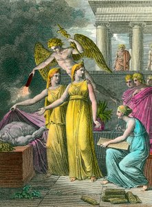 O medicamento liderado pelo estudo tem novas observações anatômicas sob os olhos da pintura Gravura do século 19 particular Coleção de Unknown artist