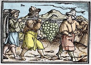 O regresso de Josué e Calebe com um enorme cacho de uvas da terra de Canaã (Terra Prometida). Crónica de Johann Stumpff "Den edlen strucen besten fromen". de Unknown artist