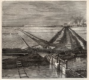 O pântano salgado de Giraud no Camargue (Bouches-du-Rhone), vista do canal de serviço - gravura em 