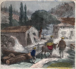 A serração. A ilustração do século XIX. A colecção Bianchetti. de Unknown artist