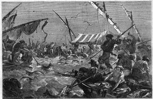 Pesca do atum com a armadilha na costa da Provença, em França. Gravura em "O Universo Ilustre". de Unknown artist
