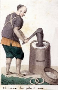 Un chinese qui pille le riz - com o traje universal de todos os povos do mundo de Unknown artist
