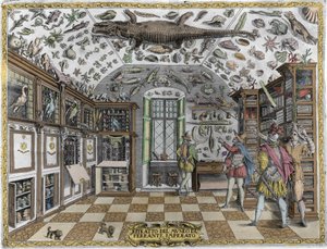 Vista do museu (gabinete) de curiosidades (museu enciclopédico) do farmacêutico Ferrante Imperato (1550 - 1631). Gravura a partir de 1678. Museu do boticário napolitano Ferrante Imperato. de Unknown artist