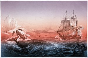 Navio baleeiro falhou no salvamento dos seus barcos de baleia de Unknown artist