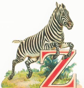 De: Zebra de Unknown artist