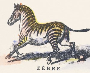 Z: zebra de Unknown artist