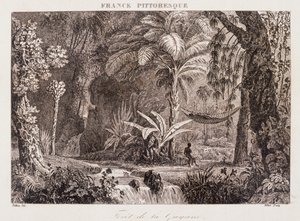 gravura representando a colónia francesa da Guiana na América do Sul 1850 de Unknown artist