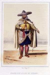 grande chef árabe do deserto durante a segunda metade do século XIX. de Unknown artist