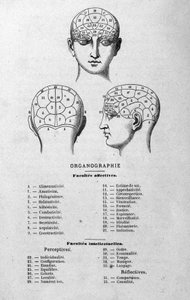 ilustração do livro de Charles Rouvin de 1873 Organographie La Tête humaine, estudos ilustrados de frenologia e fisionomonia aplicados a personagens famosos Paris 1873 de Unknown artist