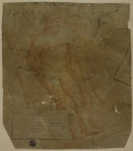 Hércules
