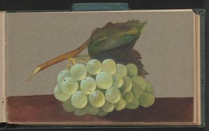Um Bando de Uvas de Unknown artist