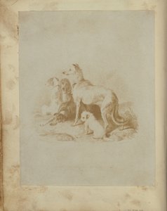 [Um grupo de cinco cães] de Unknown artist