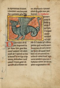Um dragão alado de Unknown artist
