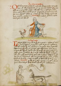 Uma mulher com um recipiente e uma galinha; um macaco a ensinar uma raposa e um lobo de Unknown artist