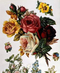 Um buquê de rosas. Cromolitografia do século XIX. de Unknown artist