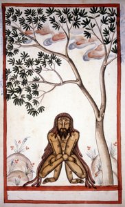 Uma página de faquir do manuscrito (ms.8300) "História do Mogul" (Moghul ou Moghol) de Stefano Nivibus Cardeira. Século XVIII. Bibloteca marciana, Veneza de Unknown artist