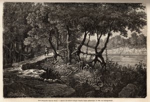 Uma ponte suspensa no Terai ("Wetland"), esta área de prados marecagosos forma a base dos Himalaias e faz fronteira com o Nepal ao sul da fronteira com a Índia. Gravura para ilustrar a exploração da Alta Ásia de 1854 a 1857, pelos irmãos de Schlagintweit, de Unknown artist
