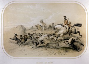 Uma caça ao lobo. Gravura do século XIX. de Unknown artist