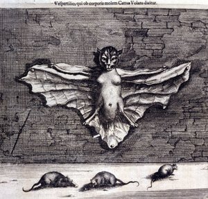Morcegos e ratos. “De China Monumenta” de Athanasius Kircher de Unknown artist