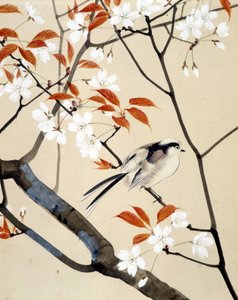 Ave e cerejeira em flor - Desenho japonês de Riou Chim, final do século XIX de Unknown artist