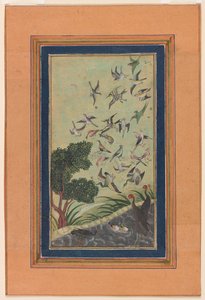 Aves em Baran, possivelmente do Babur-nama de Unknown artist
