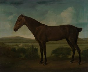 Cavalo Castanho numa Paisagem Montanhosa de Unknown artist