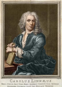 Carl Von Linné naturalista e escritor sueco (1707 - 1778) de Unknown artist